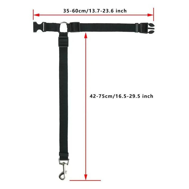 2-in-1 Hondenautogordel – veilig, verstelbaar & sterk
