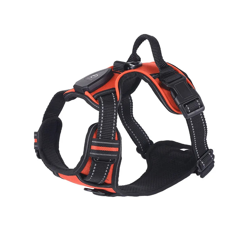 LED Hondenharnas – veilig in het donker & oplaadbaar