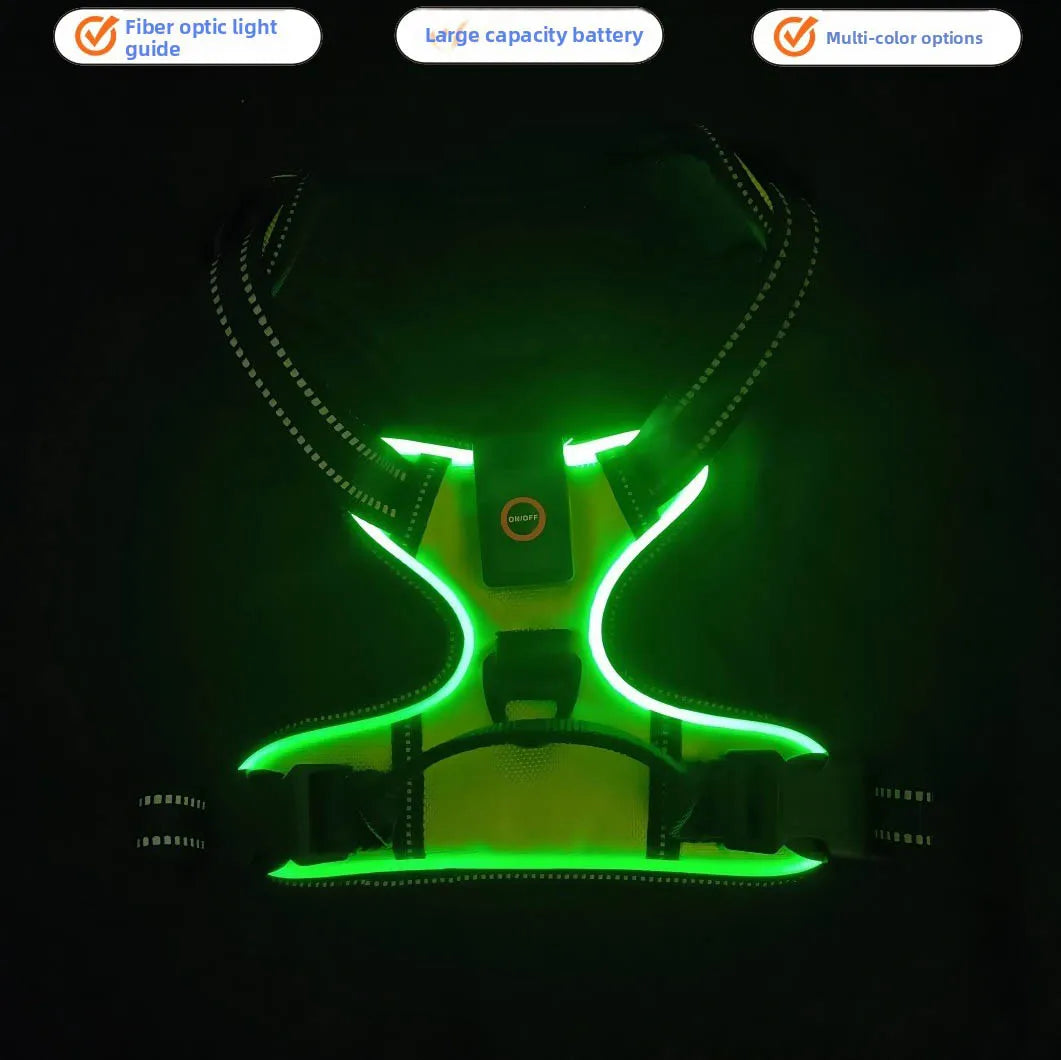 LED Hondenharnas – veilig in het donker & oplaadbaar