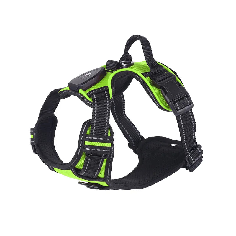 LED Hondenharnas – veilig in het donker & oplaadbaar