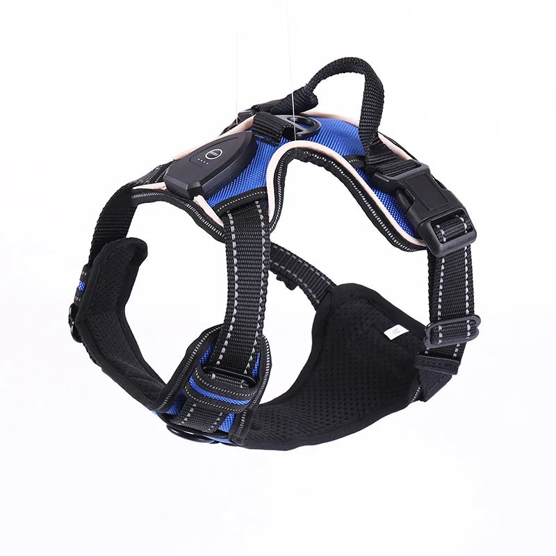 LED Hondenharnas – veilig in het donker & oplaadbaar